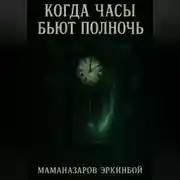 Постер книги Когда часы бьют полночь