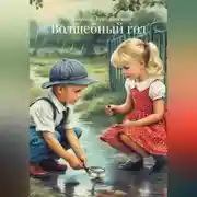 Постер книги Волшебный год