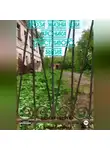 Михаил Никитин - Проза жизни или формула счастливого бытия