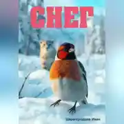 Постер книги Снег