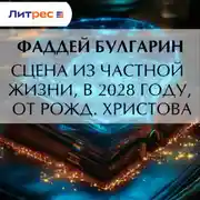 Постер книги Сцена из частной жизни, в 2028 году, от Рожд. Христова