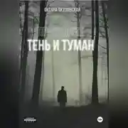 Постер книги Проводник. Тень и туман