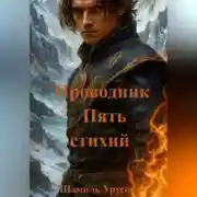 Постер книги Проводник. Пять стихий