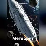 Постер книги Метеорит
