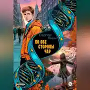 Постер книги По обе стороны чар