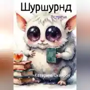 Постер книги Шуршундр. Встреча