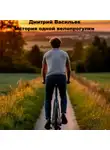 Дмитрий Васильев - История одной велопрогулки