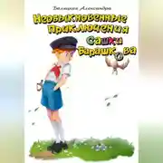 Постер книги Необыкновенные приключения Сашки Барашкова