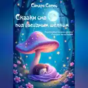 Постер книги Сказки сна под звёздным шёлком