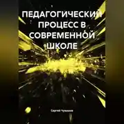 Постер книги ПЕДАГОГИЧЕСКИЙ ПРОЦЕСС В СОВРЕМЕННОЙ ШКОЛЕ