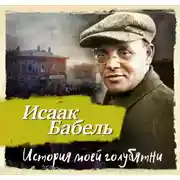 Постер книги История моей голубятни