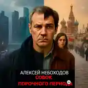 Постер книги Совок порочного периода