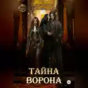 Постер книги Тайна Ворона