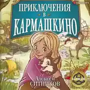 Постер книги Приключения в Кармашкино