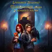 Постер книги Поломанный шкаф и немного магии