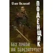 Постер книги Подёнщик. Без права на перезагрузку