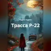 Постер книги Трасса Р-22