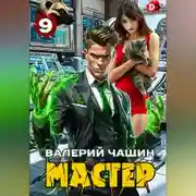 Постер книги Мастер 9