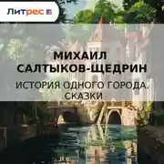 Постер книги История одного города. Сказки