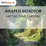 Постер книги Несчастные сироты