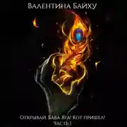 Постер книги Открывай, Баба Яга! Кот пришел! Часть 1