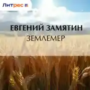Постер книги Землемер
