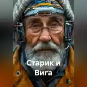 Постер книги Старик и Вига