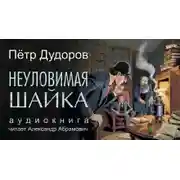 Постер книги Неуловимая шайка