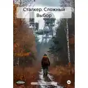Постер книги Сталкер. Сложный выбор