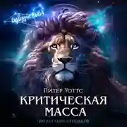 Постер книги Критическая масса