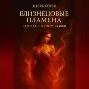 Постер книги Близнецовые Пламена: Через Ад – к Свету Любви