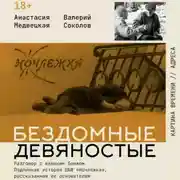 Постер книги Бездомные девяностые. Разговор с великим бомжом. Подлинная история ЦБФ «Ночлежка», рассказанная ее основателем