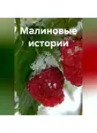 Габи Бользен - Малиновые истории