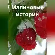 Постер книги Малиновые истории