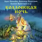 Постер книги Колдовская ночь