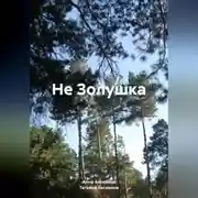 Постер книги Не Золушка