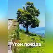 Постер книги Угон поезда