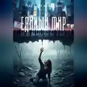 Постер книги ЕДИНЫЙ МИР