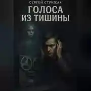 Постер книги Голоса из тишины