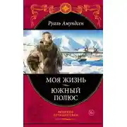 Постер книги Южный полюс