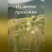 Постер книги Из жизни прихожан