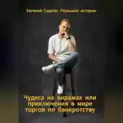 Постер книги Чудеса на виражах или приключения в мире торгов по банкротству. Реальные истории.