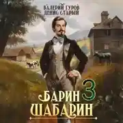 Постер книги Барин-Шабарин 3