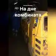Постер книги На дне комбината