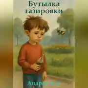 Постер книги Бутылка газировки