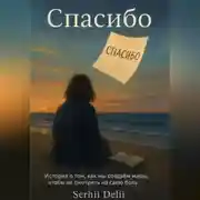 Постер книги Спасибо