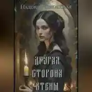 Постер книги Другая сторона стены