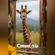 Постер книги Смыслы