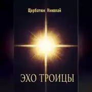 Постер книги Эхо Троицы