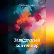 Постер книги Загадочный контейнер